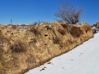 小商家收款升级！花呗变商家码的3大实惠+安出掌柜助力攻略