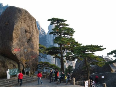 轻信"羊小咩套现"秒到账承诺 女子8000元打了水漂