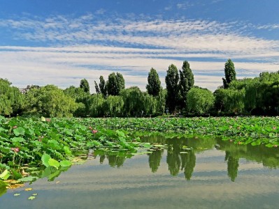 花呗当面花收款更省心，“出财小神”等工具助商家经营升级