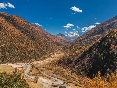 羊小咩提现额度怎么用？解锁规则、提额技巧全解析