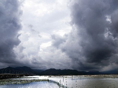 花呗商家功能激活小微生意：收款更灵活，富信掌柜助力客单提升