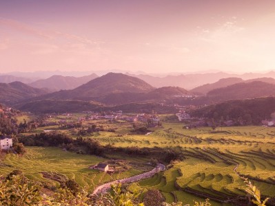 京东白条“存款取出”怎么操作？取现与小金库转出全攻略