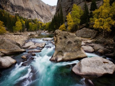 琼海白条提现需求升温 合规渠道“出财小神”支招避风险