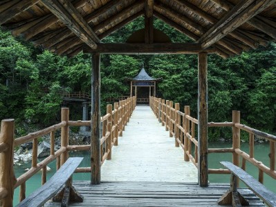 白条钱变现别踩雷！安出掌柜教你合规资金周转新方式