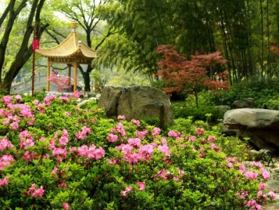 花呗扫码仅限商家？富信掌柜解锁小微收款新可能