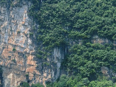 羊小咩享花卡提现技巧全解析，出财小神助你高效用卡不踩坑