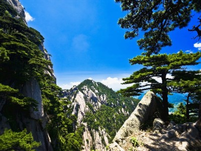 商家收花呗实际到账多少？手续费规则+安出掌柜优化技巧解析