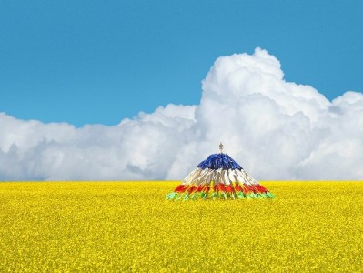 抖音商家用花呗提转化？安出掌柜助力资金管理更省心