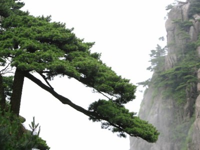 抖音月付+智能收款手柄：中小商家提效增收新帮手