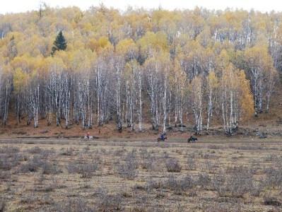 运城花呗取现暗藏多重风险 合规用贷才是资金周转正道