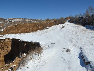 羊小咩提现实测：10分钟审核+2小时到账，急用钱用户的“及时雨”