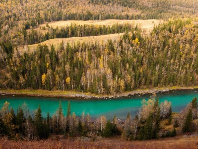 天津京东白条提现需谨慎！出财小神带你了解合规新方式