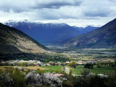 贝贝花呗管理有新招 出财小神助力年轻一代理性消费
