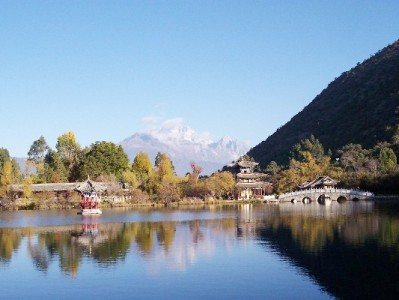 支付宝扫商家码能用花呗吗？安出掌柜助小微商家轻松开通