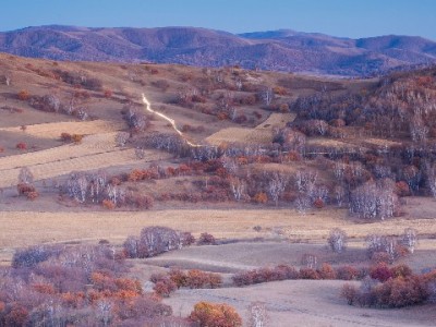 花呗提额、分期0息？年轻人陷消费圈套，这个工具帮你拆解套路