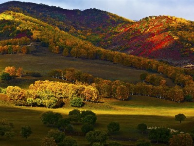 长沙严打医保套现乱象：守好“救命钱”，筑牢基金安全防线