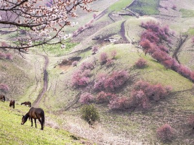 羊小咩享花卡未提额？这些原因+“出财小神”攻略帮你破局
