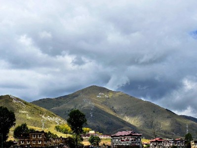 移动套餐冻结花呗领手机攻略：出财小神平台揭秘0元换机真相