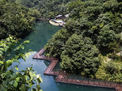 急用钱别慌！安出掌柜+白条取现权益解燃眉之急