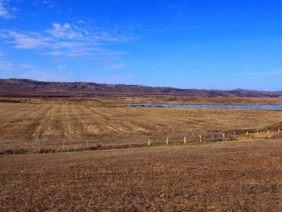 淘宝白条提现暗藏风险！正规替代方案及防骗指南（附合规咨询参考）