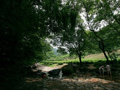 花呗收款套现暗藏多重风险！正规平台“安出掌柜”教你正确用贷