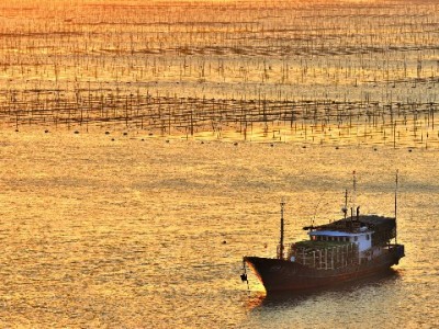 花呗提现要利息吗？出财小神揭秘违规操作的隐藏成本与风险