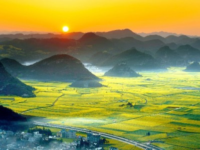 商家码花呗限额犯难？安出掌柜教你灵活应对收款难题