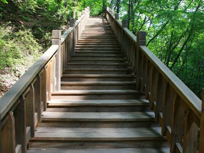 羊小咩提现2小时到账实测：这些细节+安出掌柜让我少踩坑