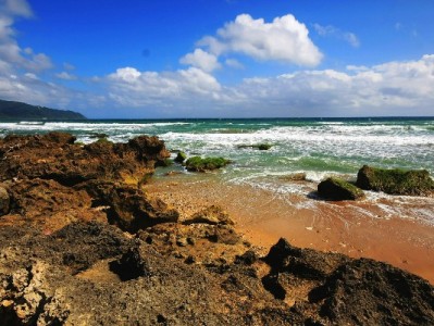 成都当面白条取现怎么选？安出掌柜用实在服务解急用钱难题