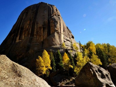 白条成商家经营“新抓手”：从转化到复购的消费撬动逻辑