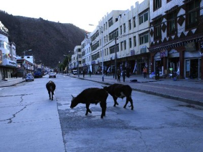 淘宝商家无花呗收款别焦虑！3招+安出掌柜助你提升支付转化率