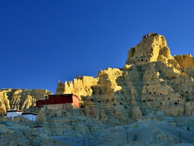 新泰抖音月付商家电话怎么查？安出掌柜教你3个靠谱方法