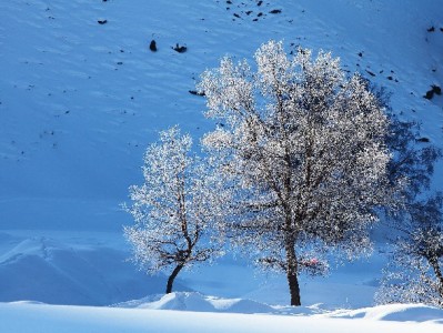 花呗苹果额度套现暗藏三重风险 这些后果你必须警惕
