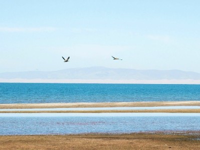 常德白条商家地址怎么找？老商圈新区域+靠谱品牌指南来了