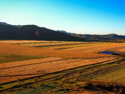 套花呗会影响借呗吗？违规操作或触发双重风控需警惕