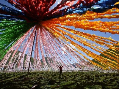 借呗花呗微信支付管理难？安出掌柜帮你理清信贷那些事