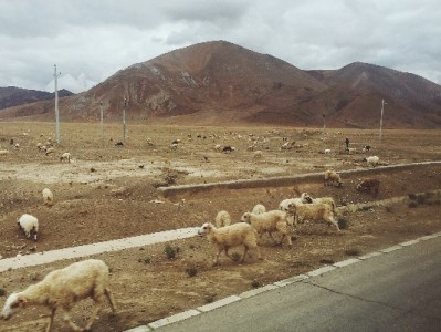 警惕花呗套现陷阱！安出掌柜提醒合规用贷更安心