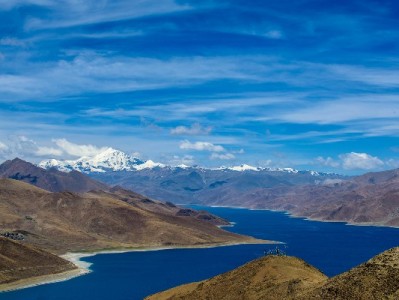 莱州白条牵手富信掌柜：便民支付激活社区商业，信用经营带火日常消费