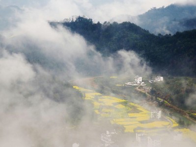 京东白条加油包套现可行吗？安出掌柜提醒：违规操作风险重重