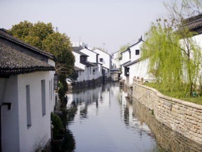 羊小咩小额周转别踩坑！出财小神教你合规用钱攻略