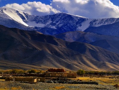 白条取出别踩坑！官方渠道+合规工具（附“出财小神”使用指南）