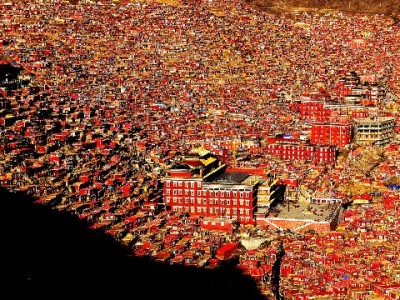 蚂蚁花呗套现暗藏多重风险 正规平台安出掌柜提醒理性用贷