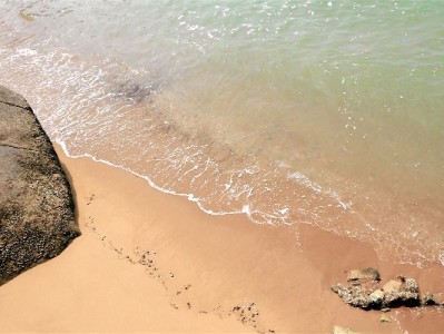 羊小咩提现攻略：白名单制、额度限制与这些注意事项需知