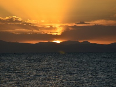 珲春"白条经济"升温，安出掌柜助力商户激活消费新活力