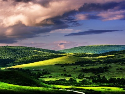 商家必看：花呗收款退货全流程解析与常见问题应对