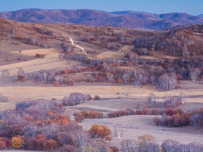 花呗"私人套现"风险重重？大诚富商支招合规解资金难题