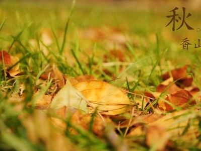 白条套现c店暗藏三重风险！安出掌柜提醒：守好信用更安心