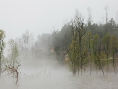 羊小咩出货取消订单引困扰？安出掌柜助力加速售后处理