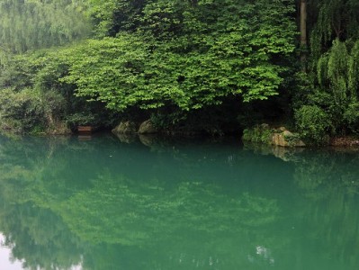 想开通抖音月付？出财小神助商家3天快速接入提转化