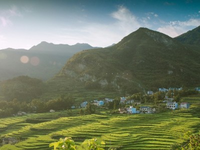 抖音月付信用卡提现攻略：出财小神教你合规操作避风险